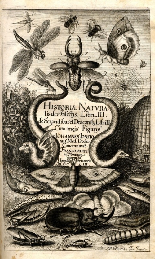 Strona tytułowa Historii Naturalnej,  wielkiego, bogato ilustrowanego dzieła autorstwa Jana Jonstona, wydanego w 1653 r.