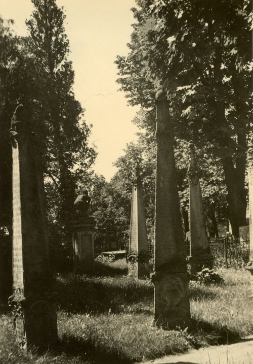 Starsza część cmentarza kalwińskiego w Lesznie z nagrobkami z przełomu XVII/XVIII w. (fot. z arch. R. Sternel))
