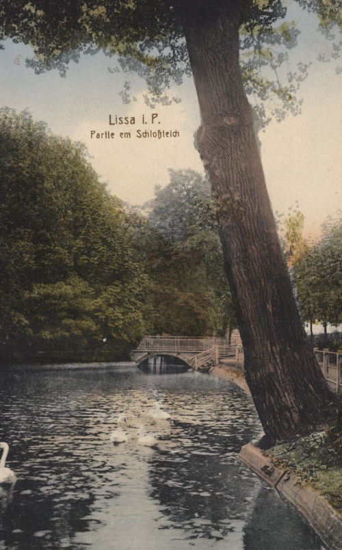 Park pałacowy w Lesznie na początku XX w. (pocztówka z archiwum M. Błaszkowskiego)